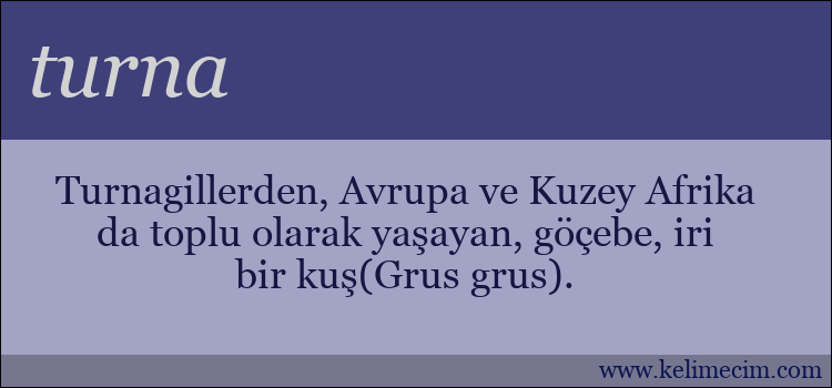 turna kelimesinin anlamı ne demek?