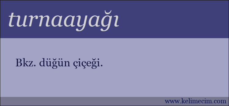 turnaayağı kelimesinin anlamı ne demek?