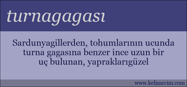 turnagagası kelimesinin anlamı ne demek?