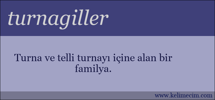 turnagiller kelimesinin anlamı ne demek?