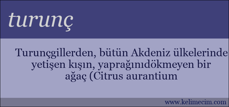 turunç kelimesinin anlamı ne demek?