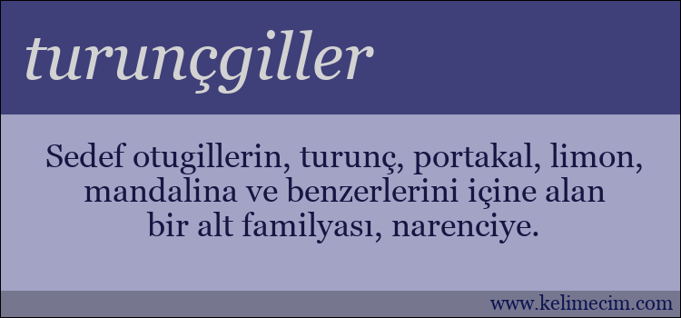 turunçgiller kelimesinin anlamı ne demek?