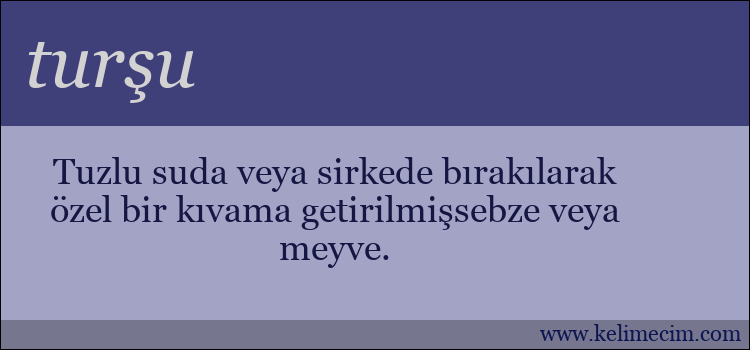 turşu kelimesinin anlamı ne demek?