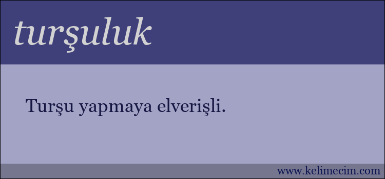 turşuluk kelimesinin anlamı ne demek?