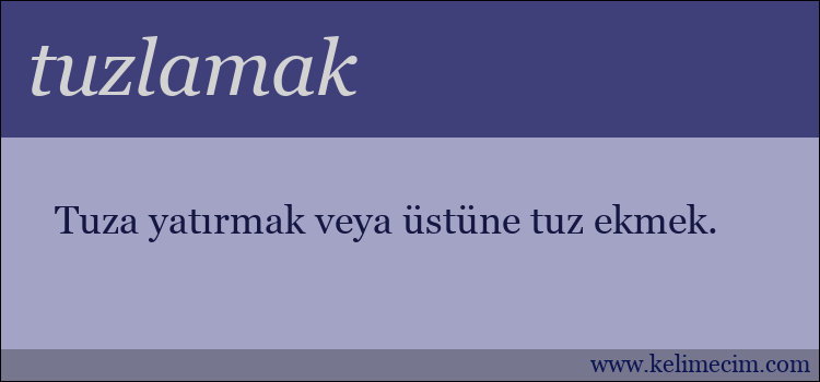 tuzlamak kelimesinin anlamı ne demek?