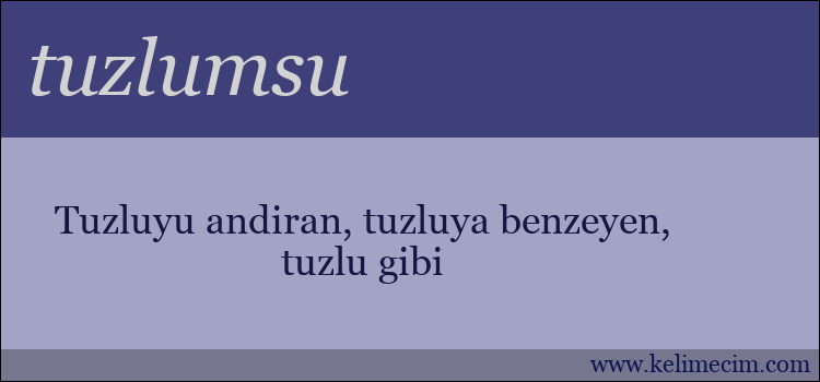 tuzlumsu kelimesinin anlamı ne demek?