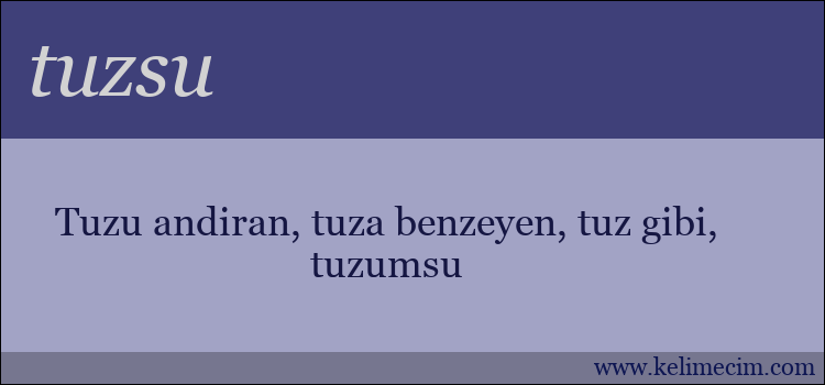 tuzsu kelimesinin anlamı ne demek?