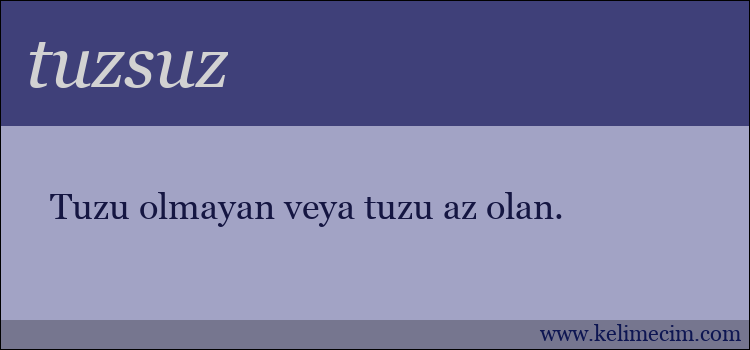 tuzsuz kelimesinin anlamı ne demek?