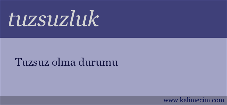 tuzsuzluk kelimesinin anlamı ne demek?