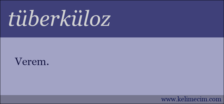 tüberküloz kelimesinin anlamı ne demek?