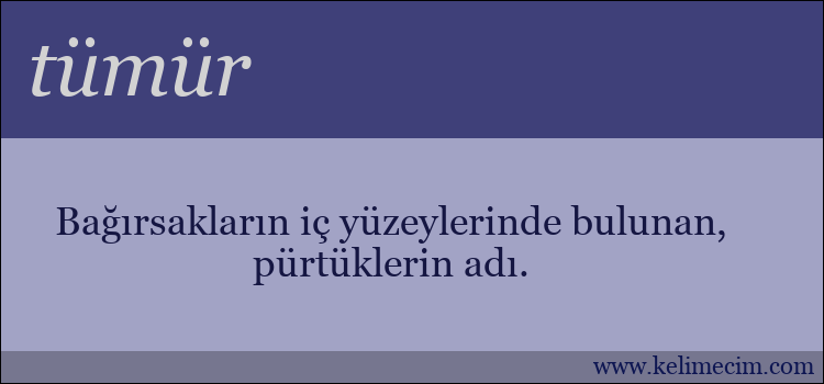 tümür kelimesinin anlamı ne demek?