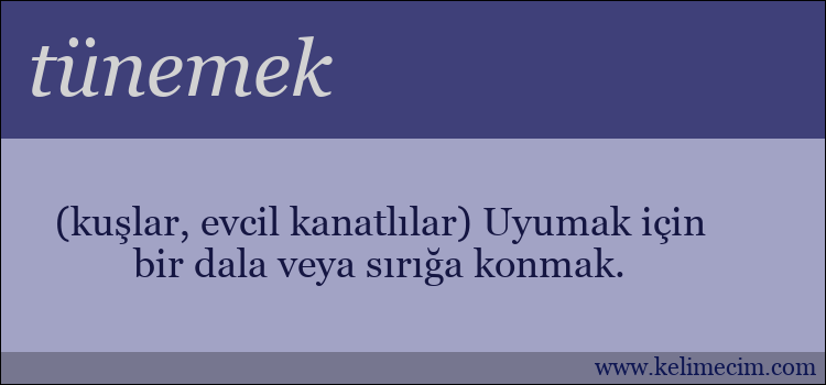 tünemek kelimesinin anlamı ne demek?