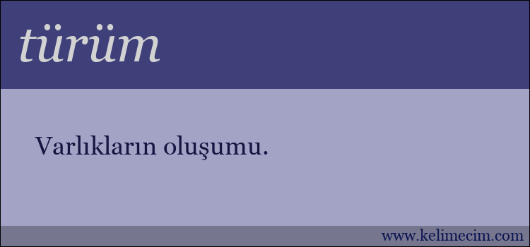 türüm kelimesinin anlamı ne demek?