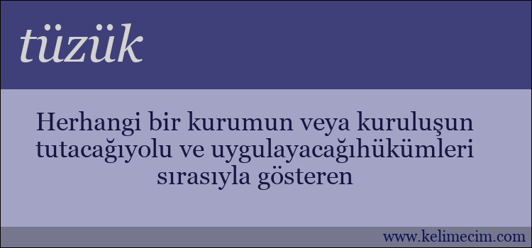 tüzük kelimesinin anlamı ne demek?