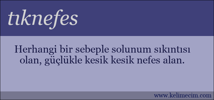 tıknefes kelimesinin anlamı ne demek?