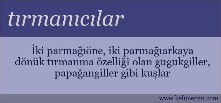 tırmanıcılar kelimesinin anlamı ne demek?