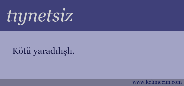 tıynetsiz kelimesinin anlamı ne demek?