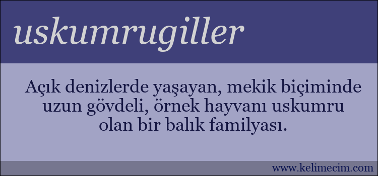 uskumrugiller kelimesinin anlamı ne demek?