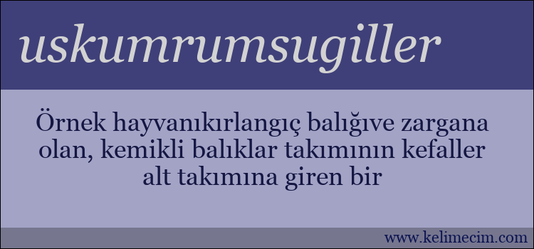 uskumrumsugiller kelimesinin anlamı ne demek?