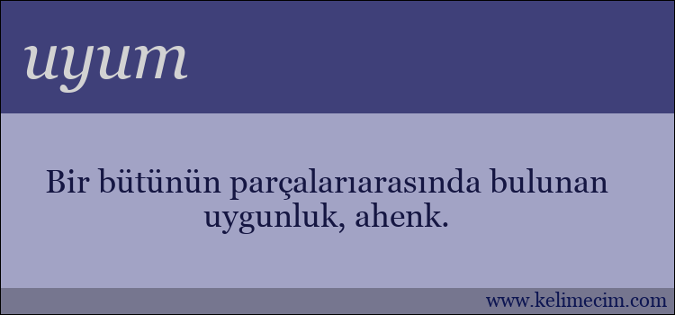 uyum kelimesinin anlamı ne demek?