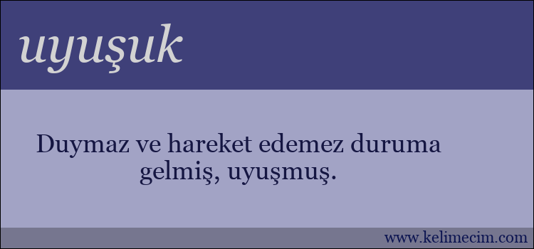 uyuşuk kelimesinin anlamı ne demek?