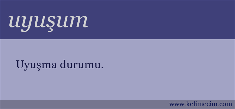 uyuşum kelimesinin anlamı ne demek?