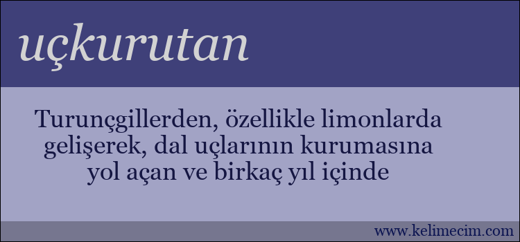 uçkurutan kelimesinin anlamı ne demek?