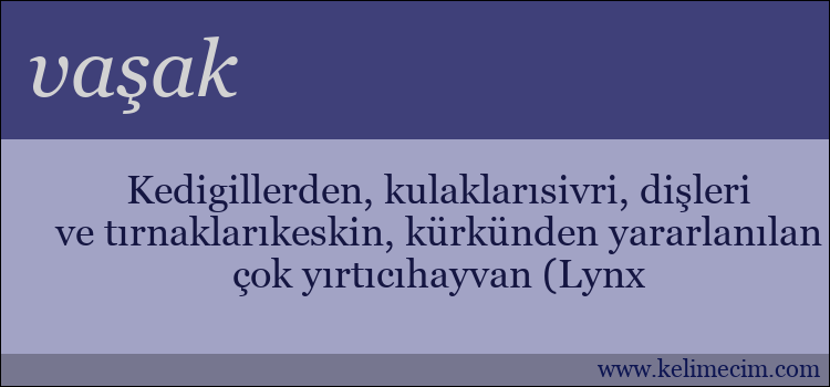 vaşak kelimesinin anlamı ne demek?