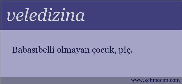 veledizina kelimesinin anlamı ne demek?