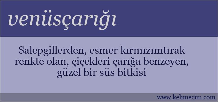 venüsçarığı kelimesinin anlamı ne demek?