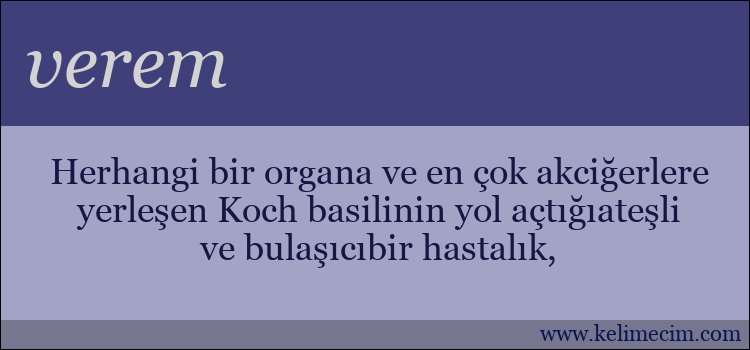 verem kelimesinin anlamı ne demek?