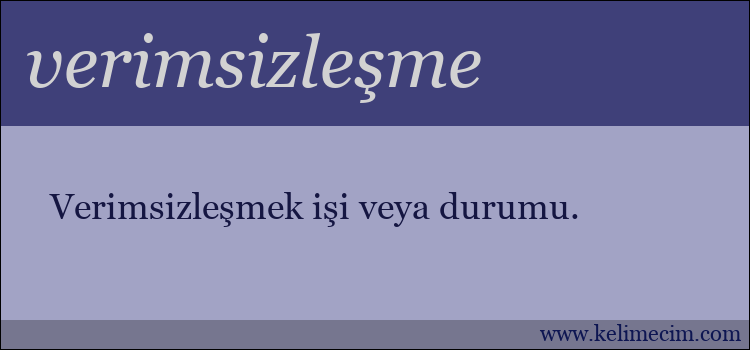 verimsizleşme kelimesinin anlamı ne demek?