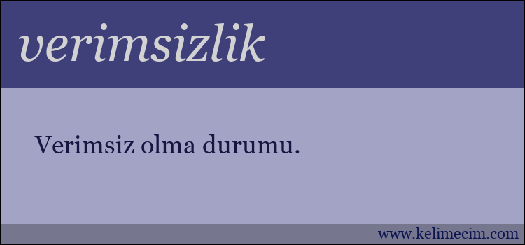 verimsizlik kelimesinin anlamı ne demek?