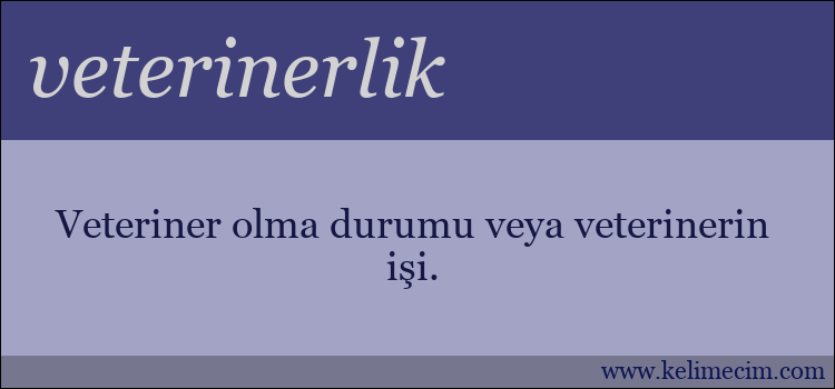 veterinerlik kelimesinin anlamı ne demek?