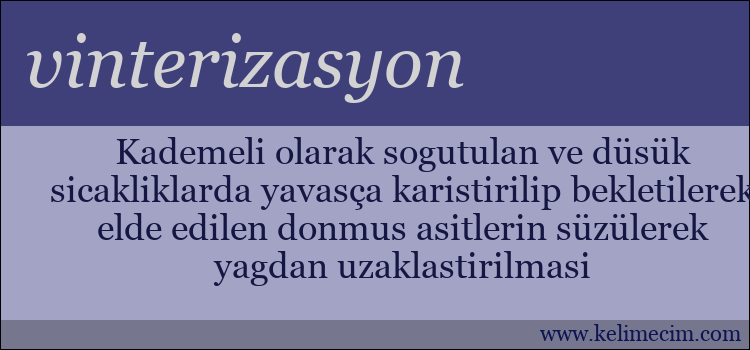 vinterizasyon kelimesinin anlamı ne demek?