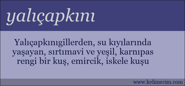 yalıçapkını kelimesinin anlamı ne demek?