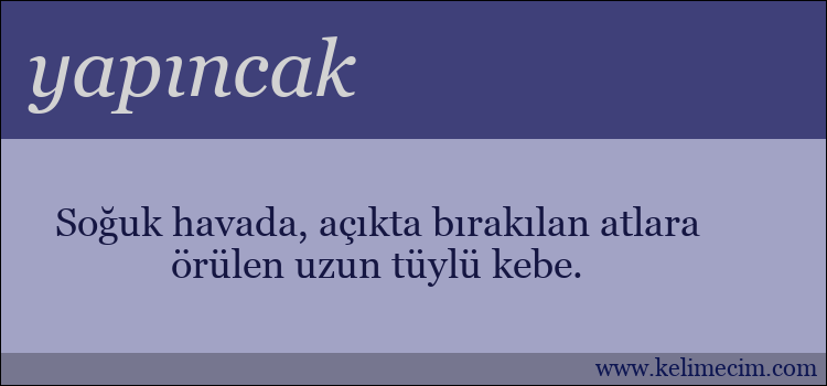 yapıncak kelimesinin anlamı ne demek?