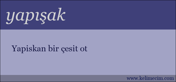 yapışak kelimesinin anlamı ne demek?