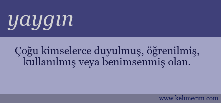 yaygın kelimesinin anlamı ne demek?