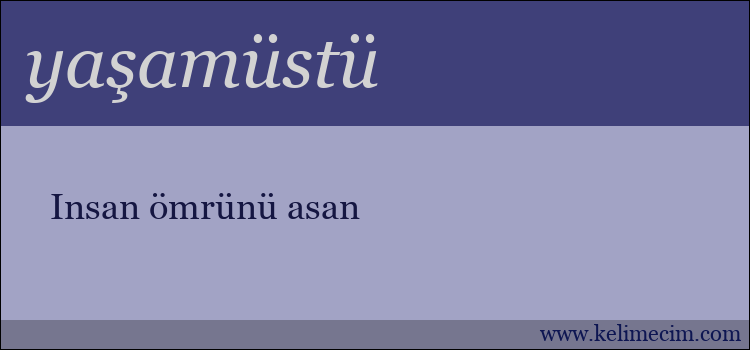 yaşamüstü kelimesinin anlamı ne demek?