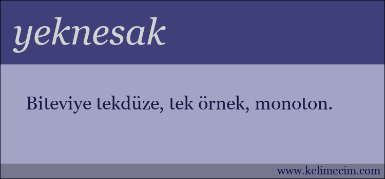 yeknesak kelimesinin anlamı ne demek?