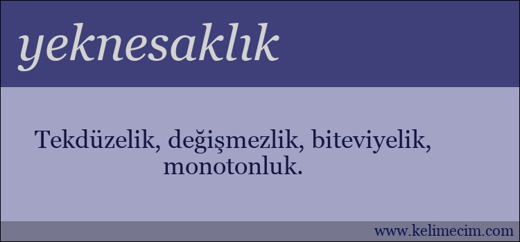 yeknesaklık kelimesinin anlamı ne demek?