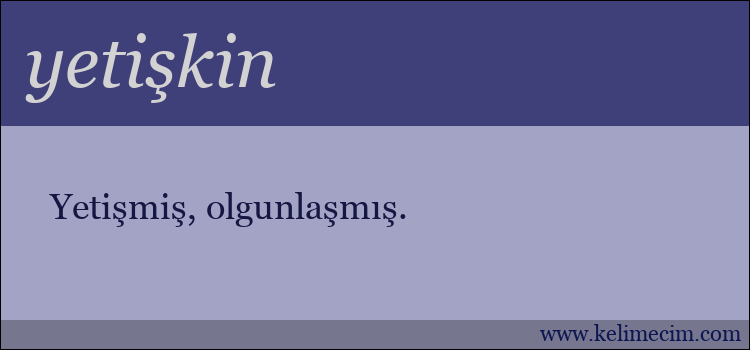 yetişkin kelimesinin anlamı ne demek?