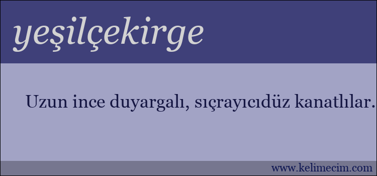 yeşilçekirge kelimesinin anlamı ne demek?