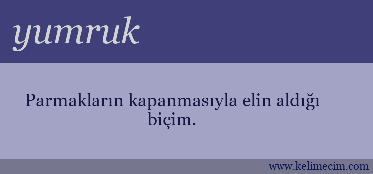 yumruk kelimesinin anlamı ne demek?