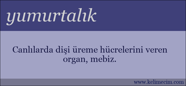 yumurtalık kelimesinin anlamı ne demek?