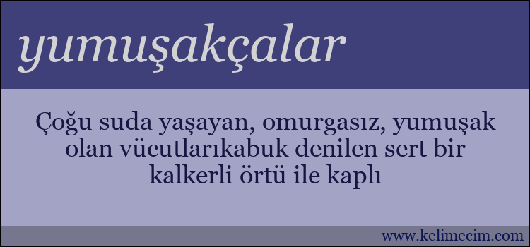 yumuşakçalar kelimesinin anlamı ne demek?