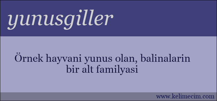 yunusgiller kelimesinin anlamı ne demek?