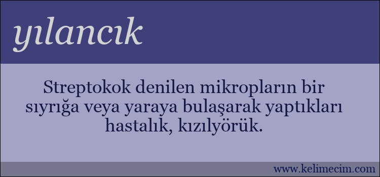 yılancık kelimesinin anlamı ne demek?