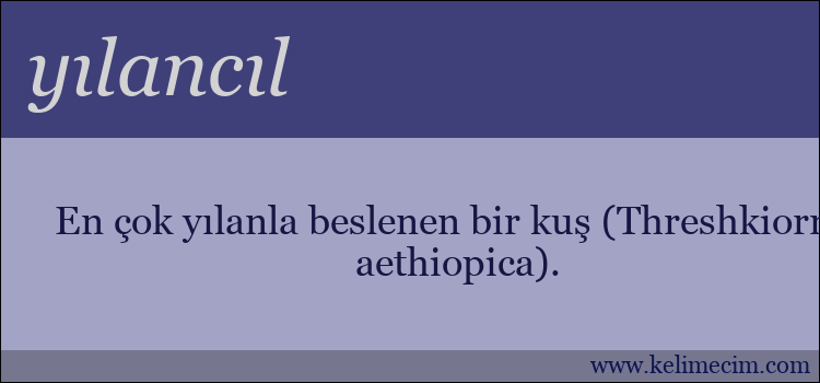 yılancıl kelimesinin anlamı ne demek?